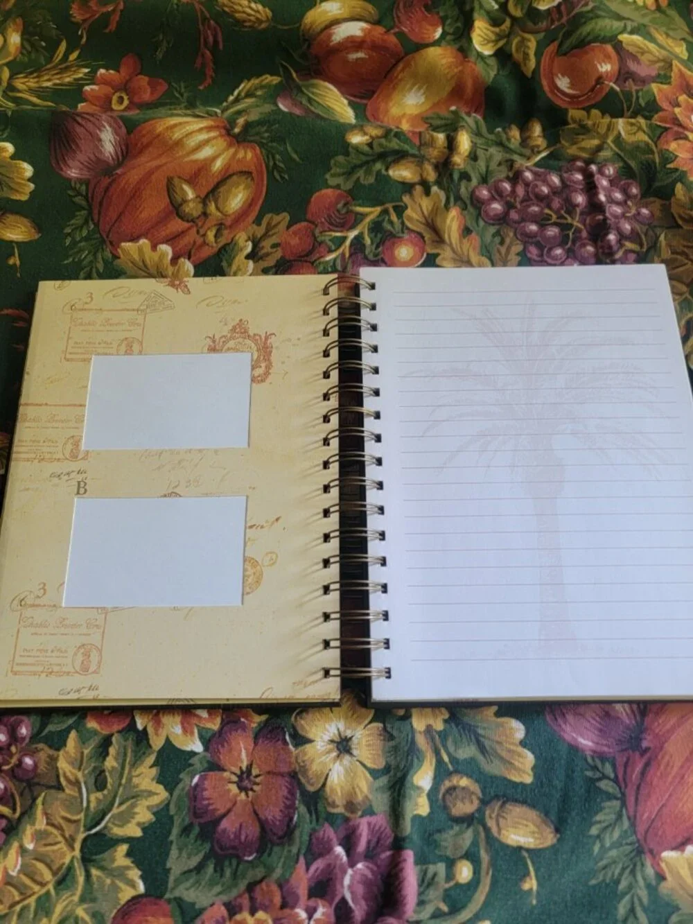 2002 Chad Barrett Journal Photo Album Palm Tree Excellent Condition